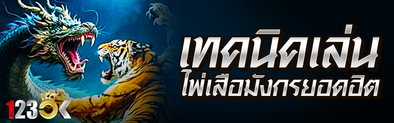 เทคนิคเล่นไพ่เสือมังกรยอดฮิต